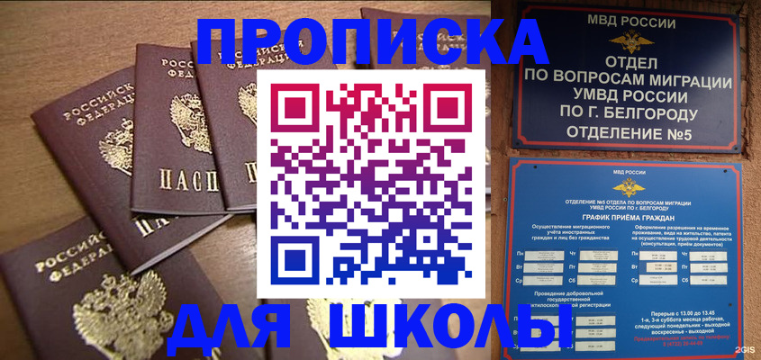 прописка гарантия в Заволжье